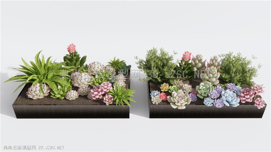 现代多肉植物组合 多肉盆栽 绿植