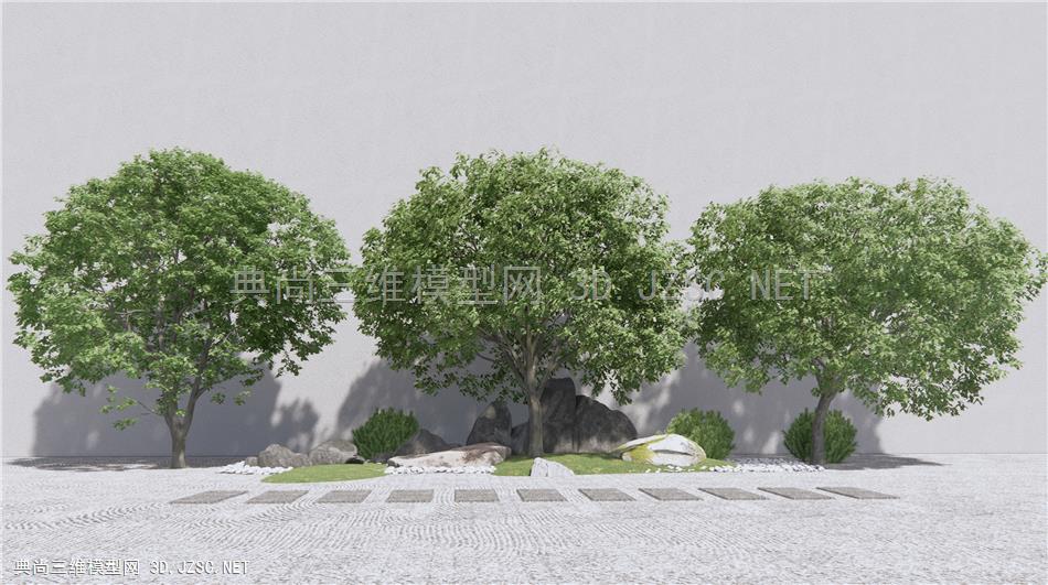 现代景观树 乔木 槐树 庭院石头灌木1