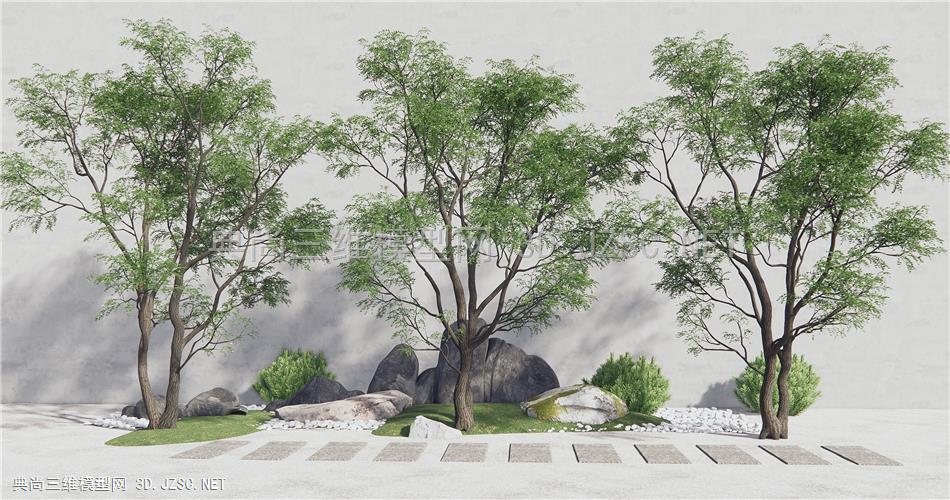 现代景观树 乔木 槐树 石头1