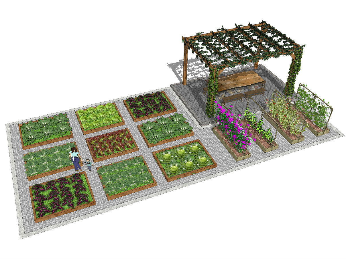 现代庭院菜园都市菜园菜地蔬菜种植园su模型