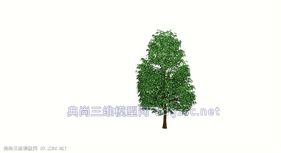 3d植物
