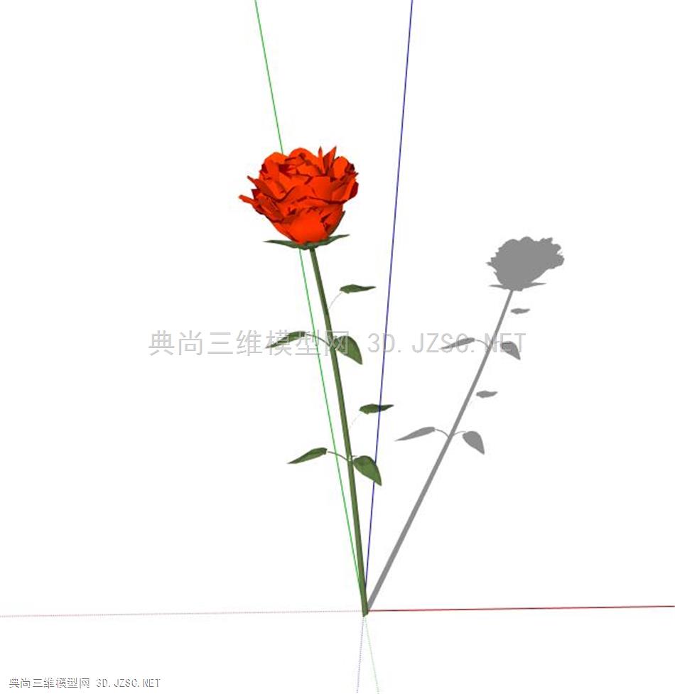 玫瑰rose