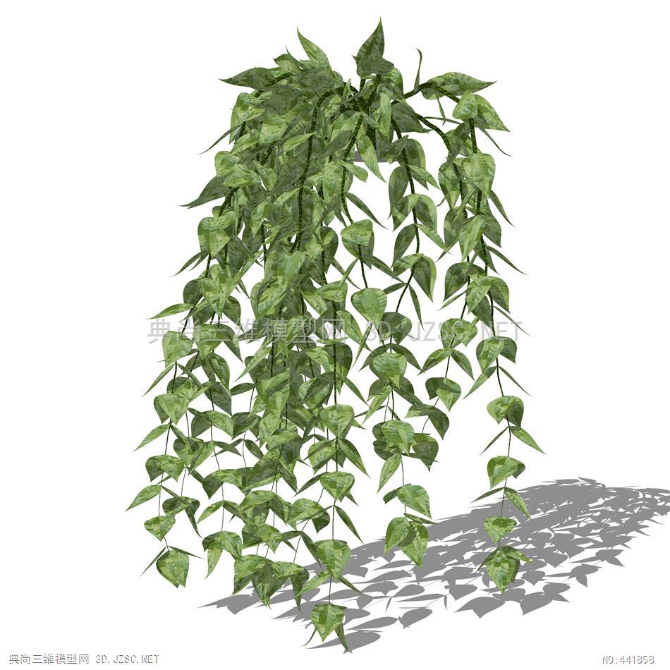 藤本藤蔓攀爬植物36垂吊su模型