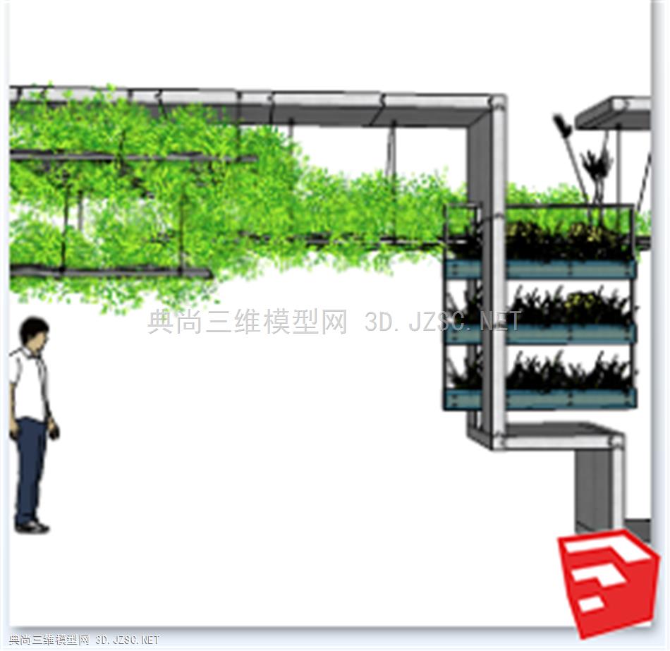 花架花墙  (4)