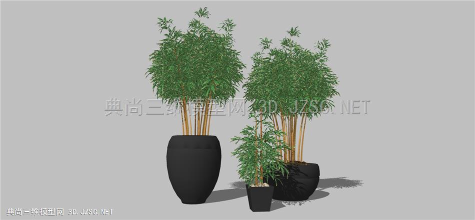 现代风格装饰植物盆栽 (128)