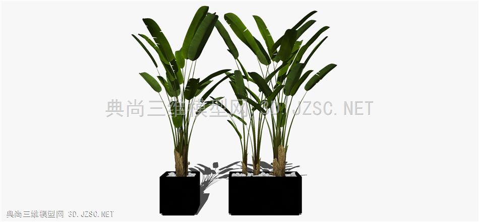 现代风格装饰植物盆栽 (101)