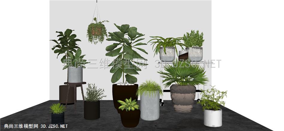 现代风格装饰植物盆栽 (133)
