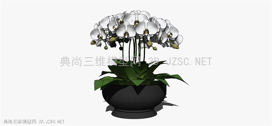 现代风格装饰植物盆栽 (108)