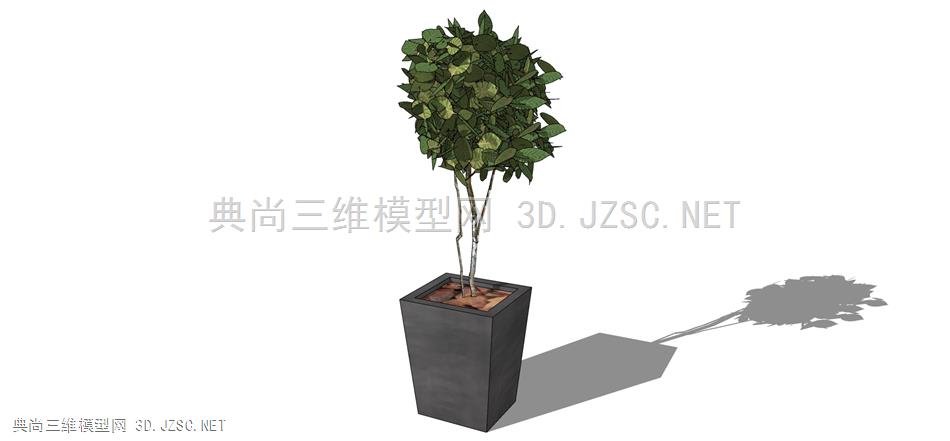 现代风格装饰植物盆栽 (171)