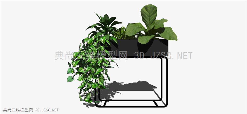 现代风格装饰植物盆栽 (107)
