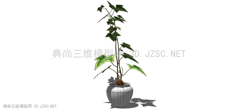 现代风格装饰植物盆栽 (158)