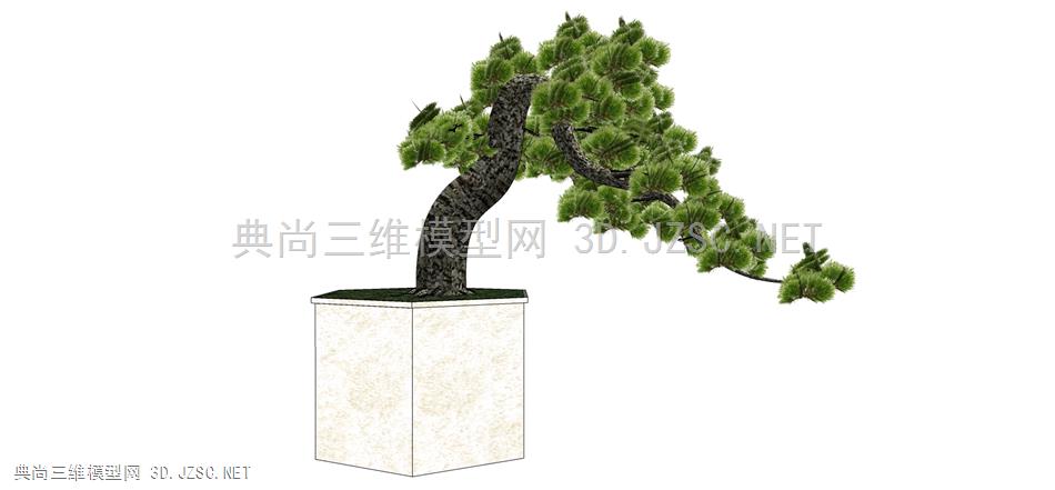 现代风格装饰植物盆栽 (165)