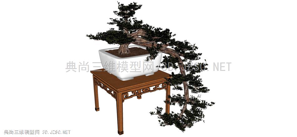 现代风格装饰植物盆栽 (166)