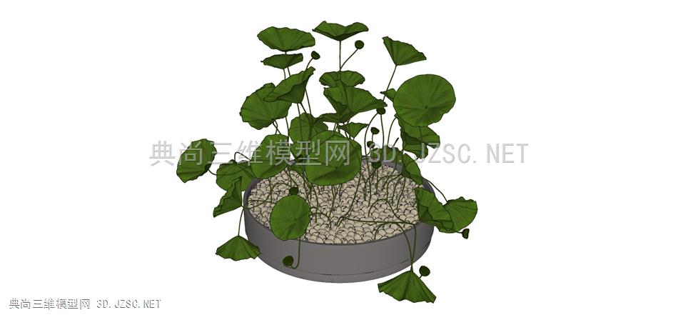 现代风格装饰植物盆栽 (182)