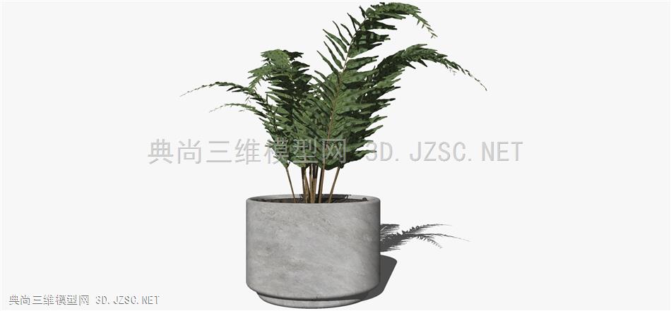 现代风格装饰植物盆栽 (96)