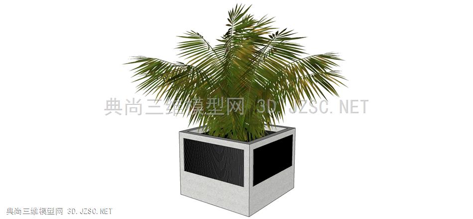 现代风格装饰植物盆栽 (167)