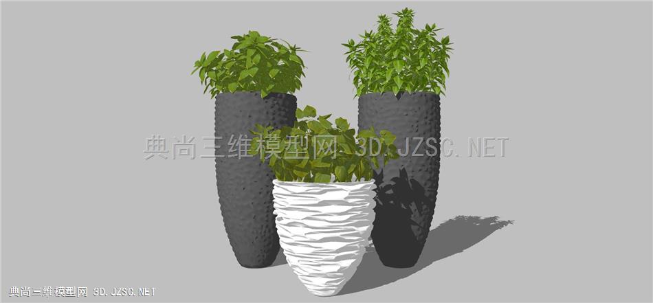 现代风格装饰植物盆栽 (124)