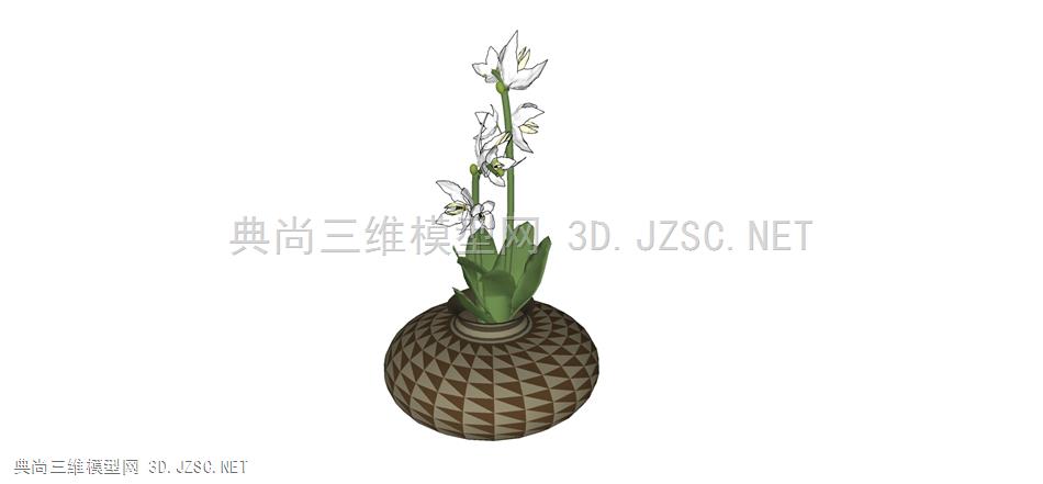 现代风格装饰植物盆栽 (169)