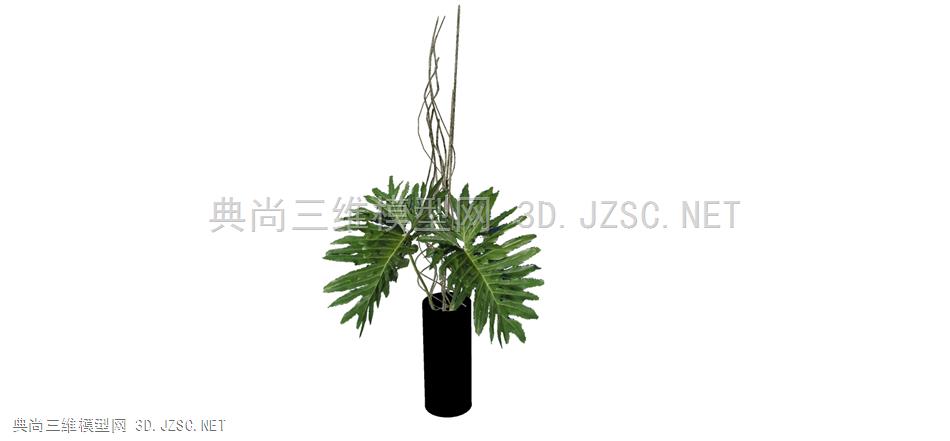 现代风格装饰植物盆栽 (164)