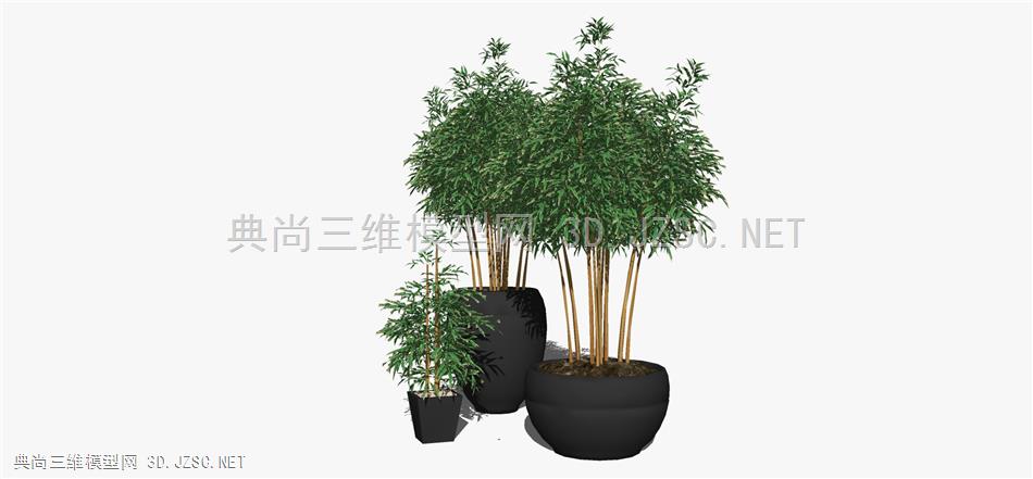 现代风格装饰植物盆栽 (91)