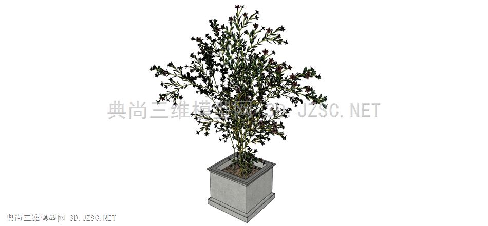 现代风格装饰植物盆栽 (187)