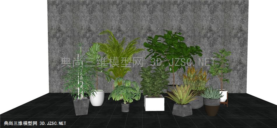 现代风格装饰植物盆栽 (131)
