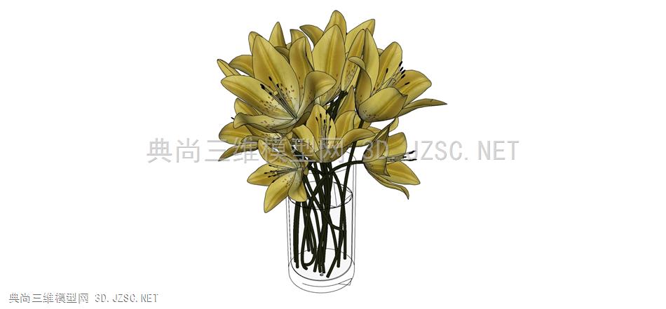 现代风格装饰植物盆栽 (183)