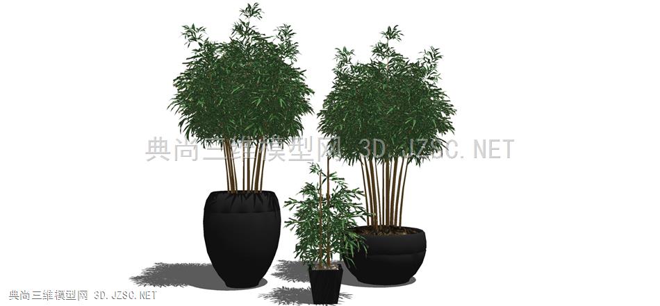 现代风格装饰植物盆栽 (180)