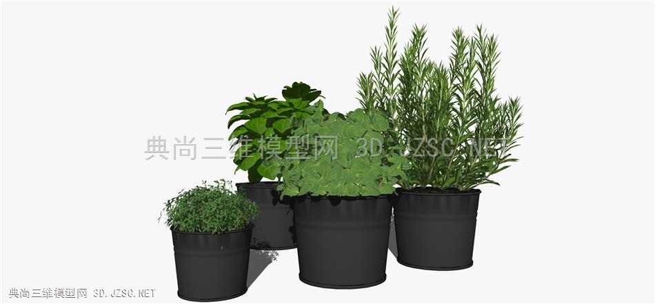 现代风格装饰植物盆栽 (119)