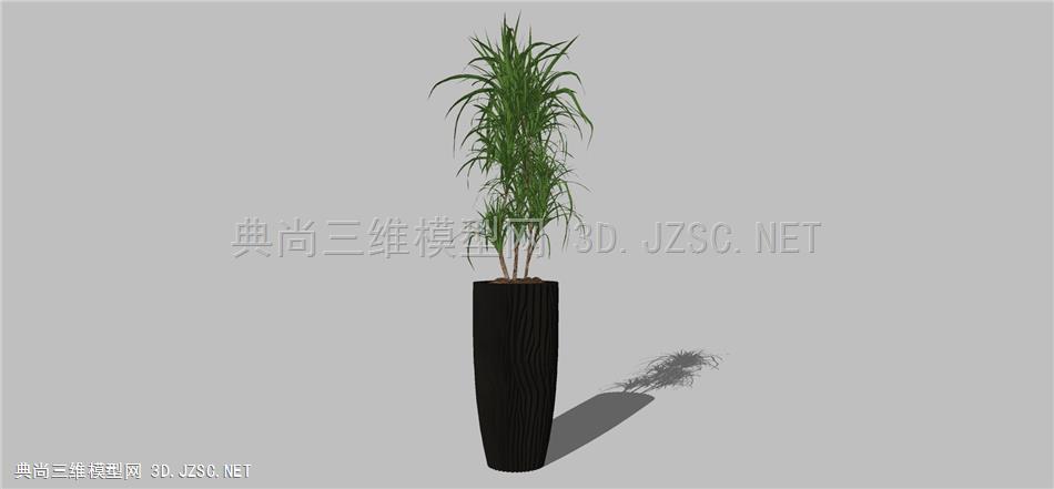 现代风格装饰植物盆栽 (129)