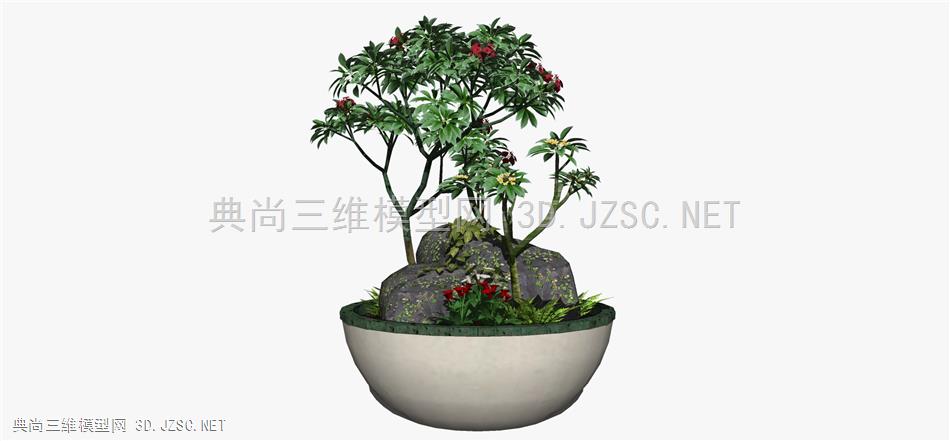 现代风格装饰植物盆栽 (118)