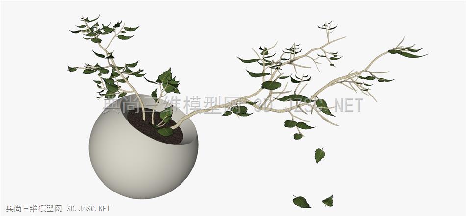 现代风格装饰植物摆件 (2)