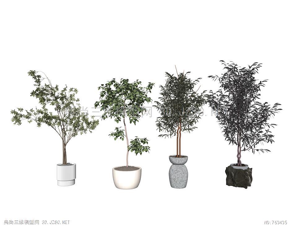 现代植物盆栽绿植