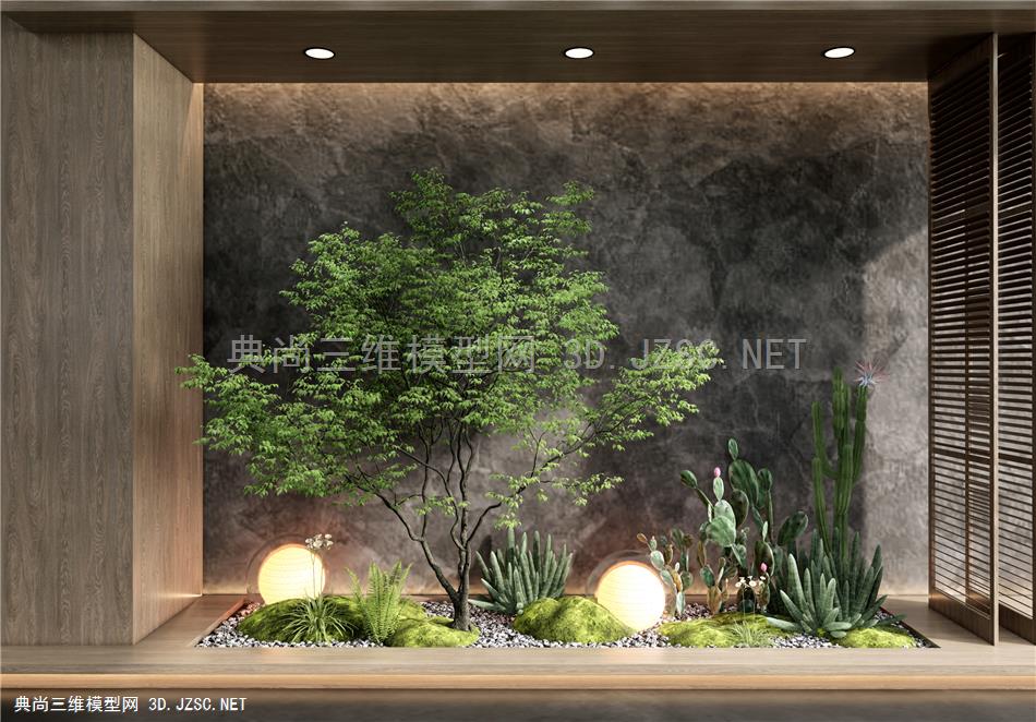 现代庭院小品 景观造景 植物景观 仙人掌 玄关造景