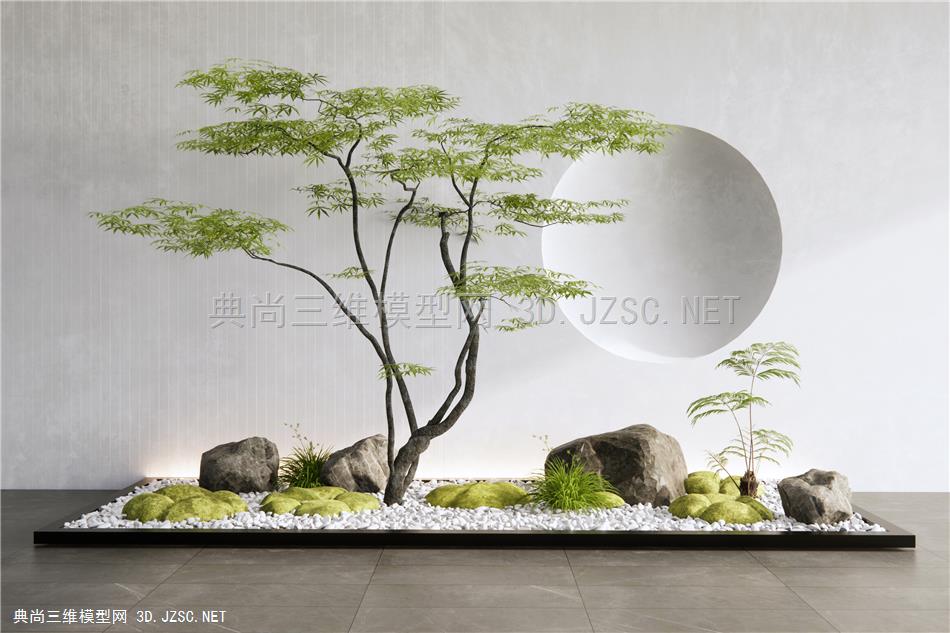 现代庭院景观小品 景观造景 景观树 石头 苔藓 枫树 蕨类植物