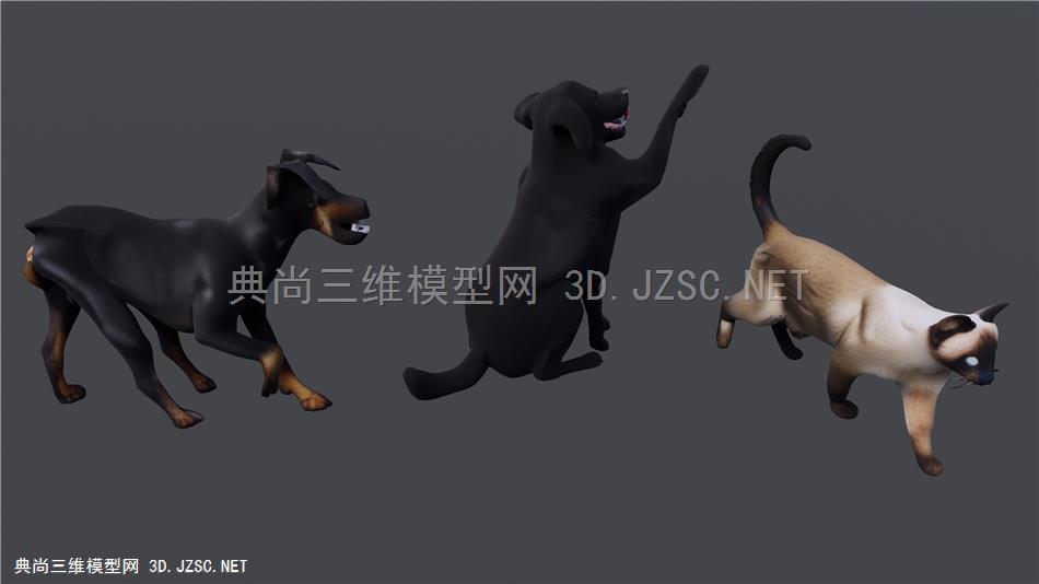 猫狗动物集合