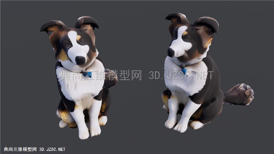 哈士奇狗